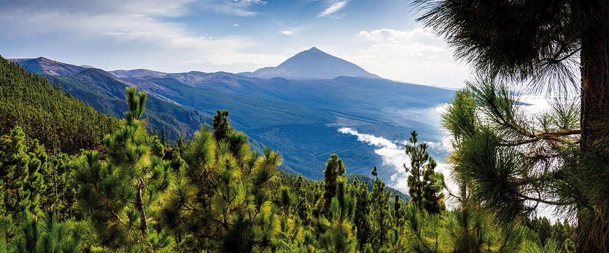 Teide National Park, Tenerife